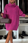 Women's Long Sleeve Casual Sweater Dress with Pile Collar