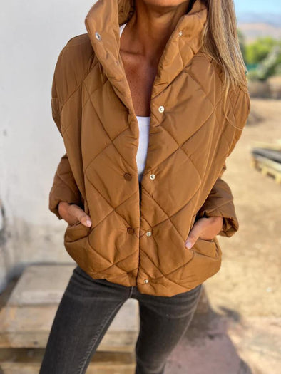 Casual Stand Collar Single Breasted Down Jacket